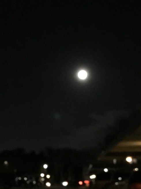 19DBC94B-4729-425C-A51E-EE5C6335DA19